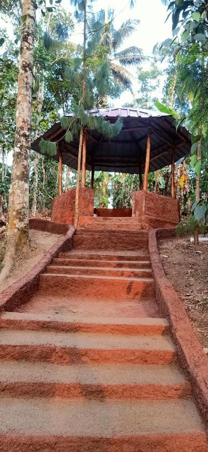 Philip Mary Farm Stay Thekkady Bagian luar foto