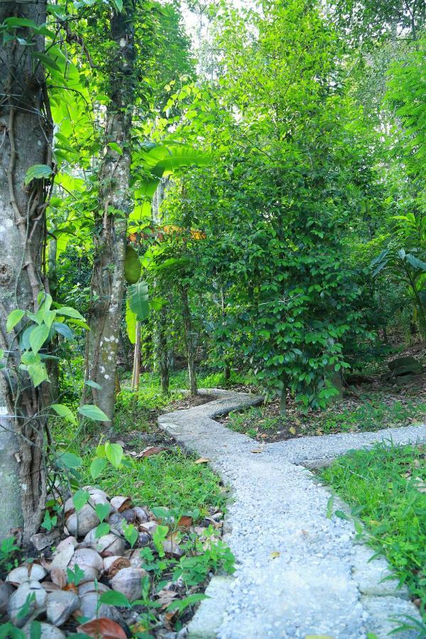 Philip Mary Farm Stay Thekkady Bagian luar foto