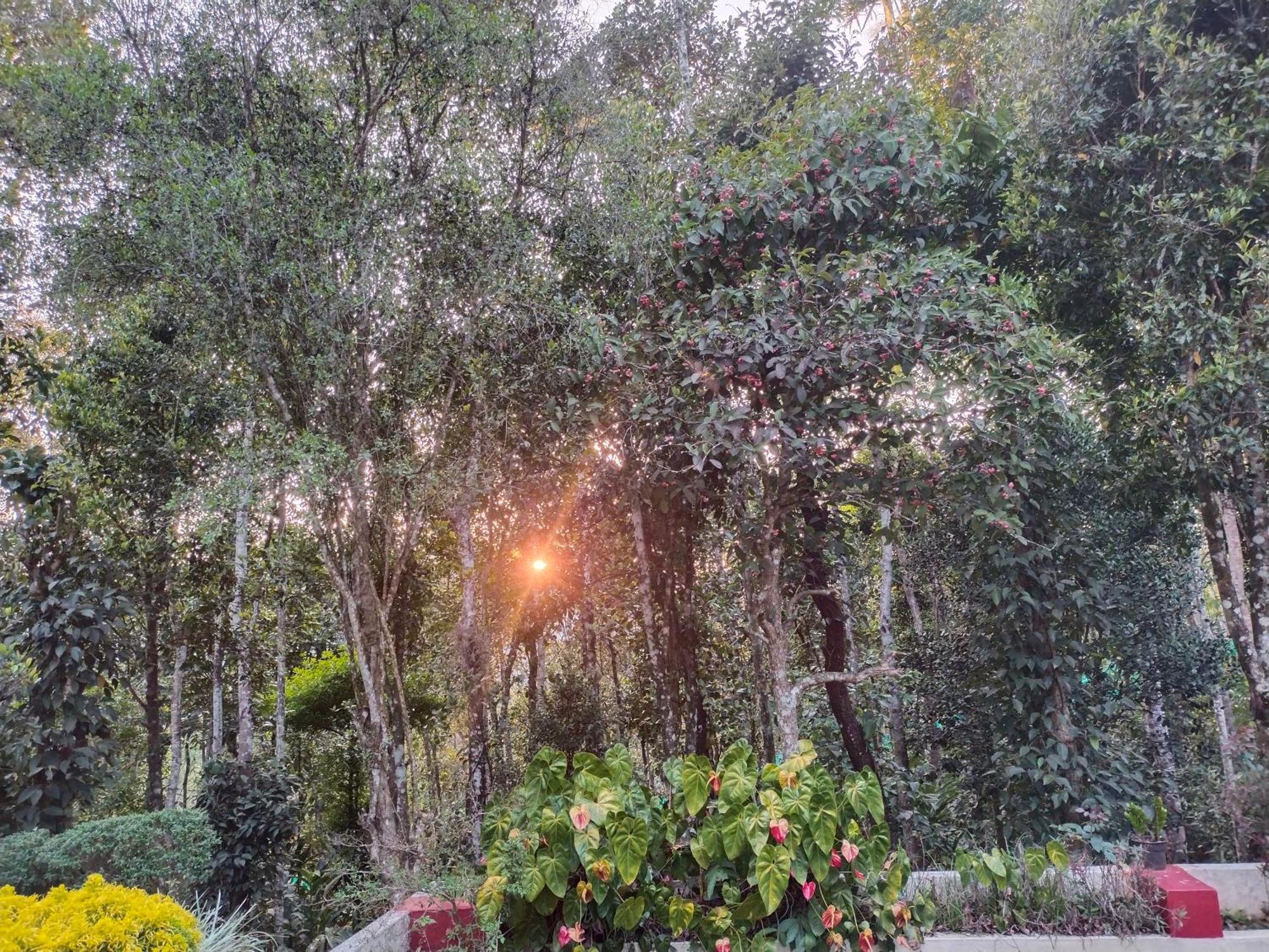 Philip Mary Farm Stay Thekkady Bagian luar foto