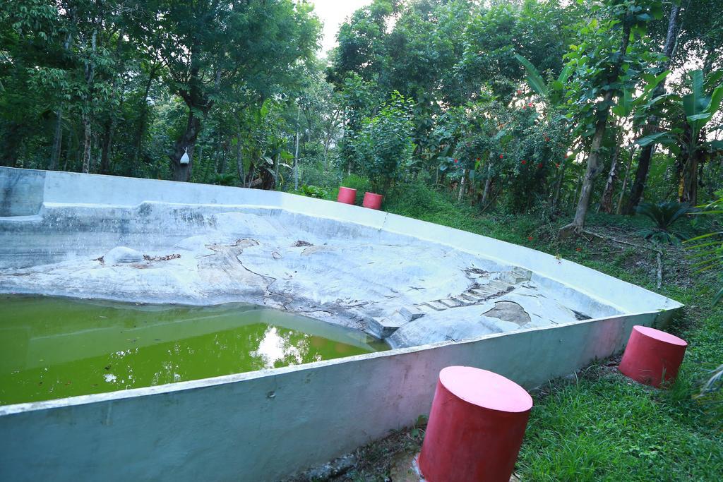 Philip Mary Farm Stay Thekkady Bagian luar foto