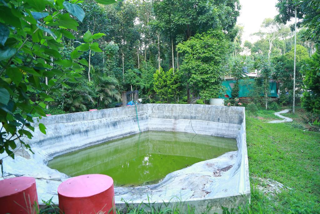Philip Mary Farm Stay Thekkady Bagian luar foto