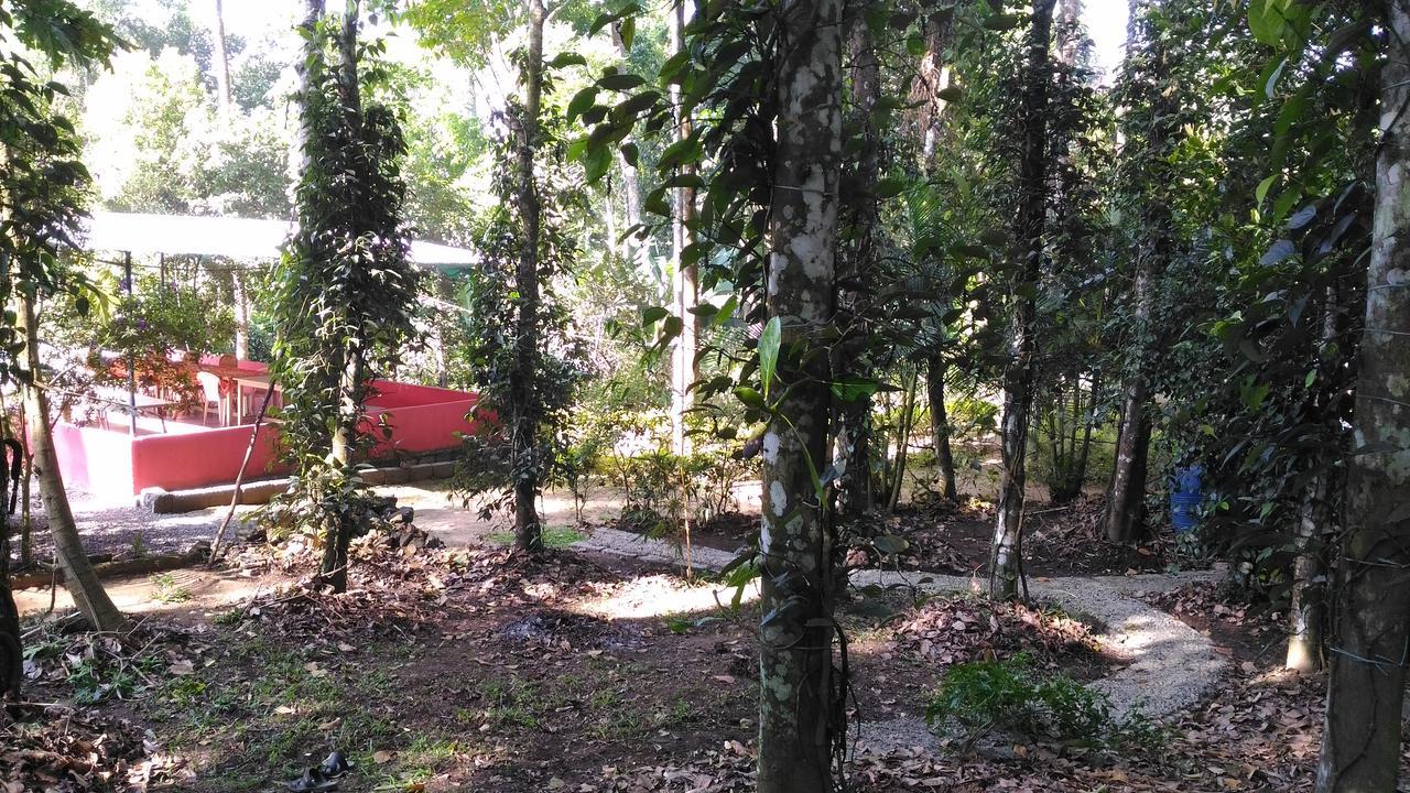 Philip Mary Farm Stay Thekkady Bagian luar foto
