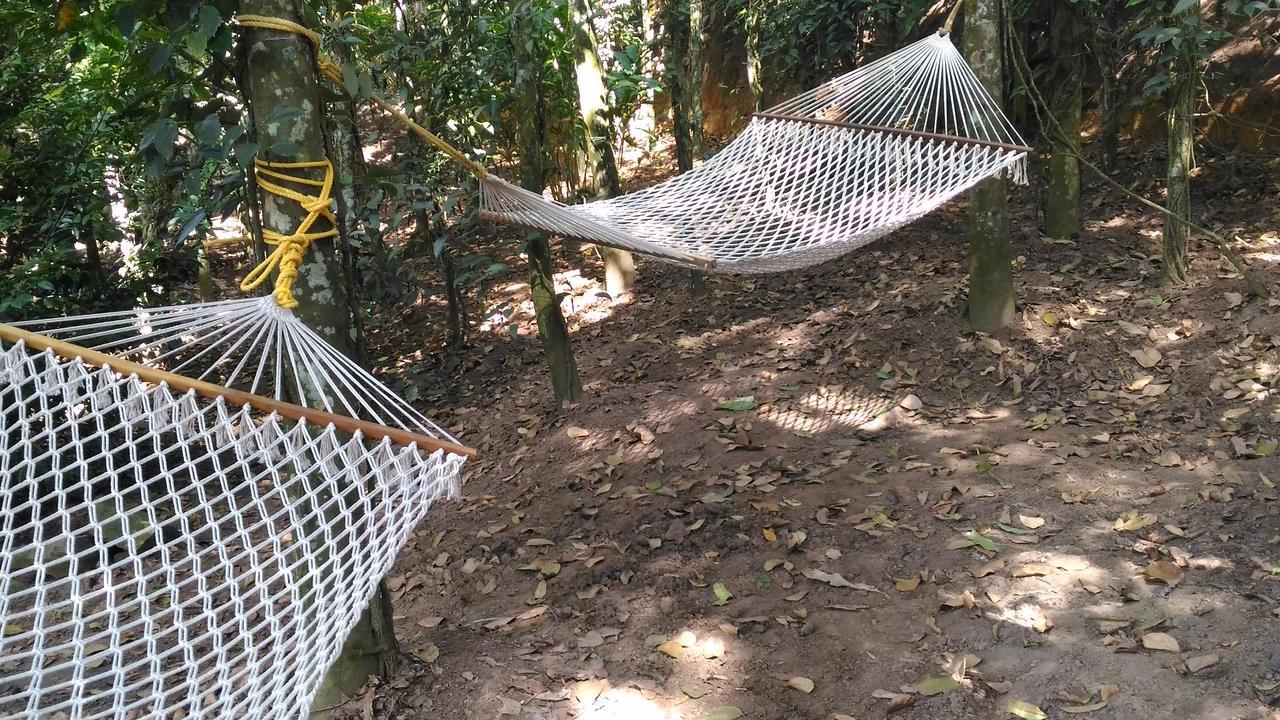 Philip Mary Farm Stay Thekkady Bagian luar foto