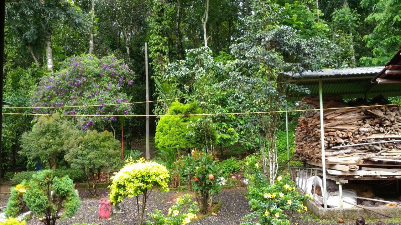 Philip Mary Farm Stay Thekkady Bagian luar foto