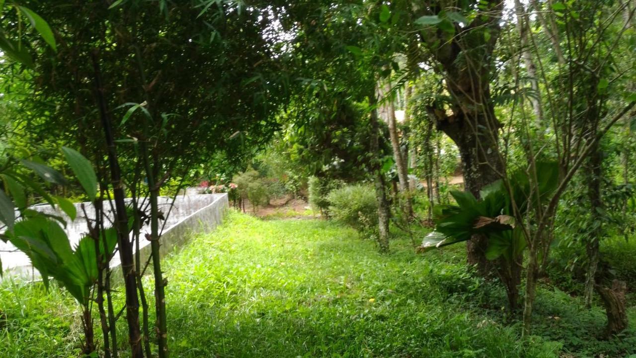 Philip Mary Farm Stay Thekkady Bagian luar foto