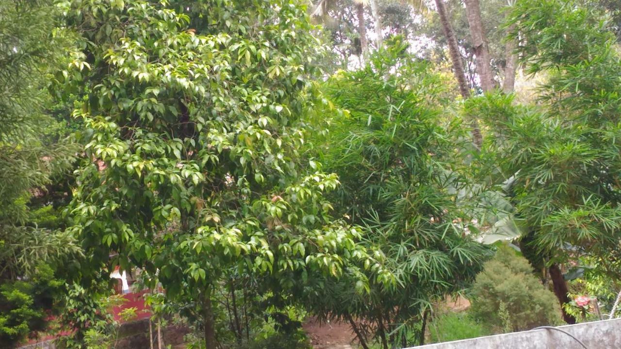 Philip Mary Farm Stay Thekkady Bagian luar foto