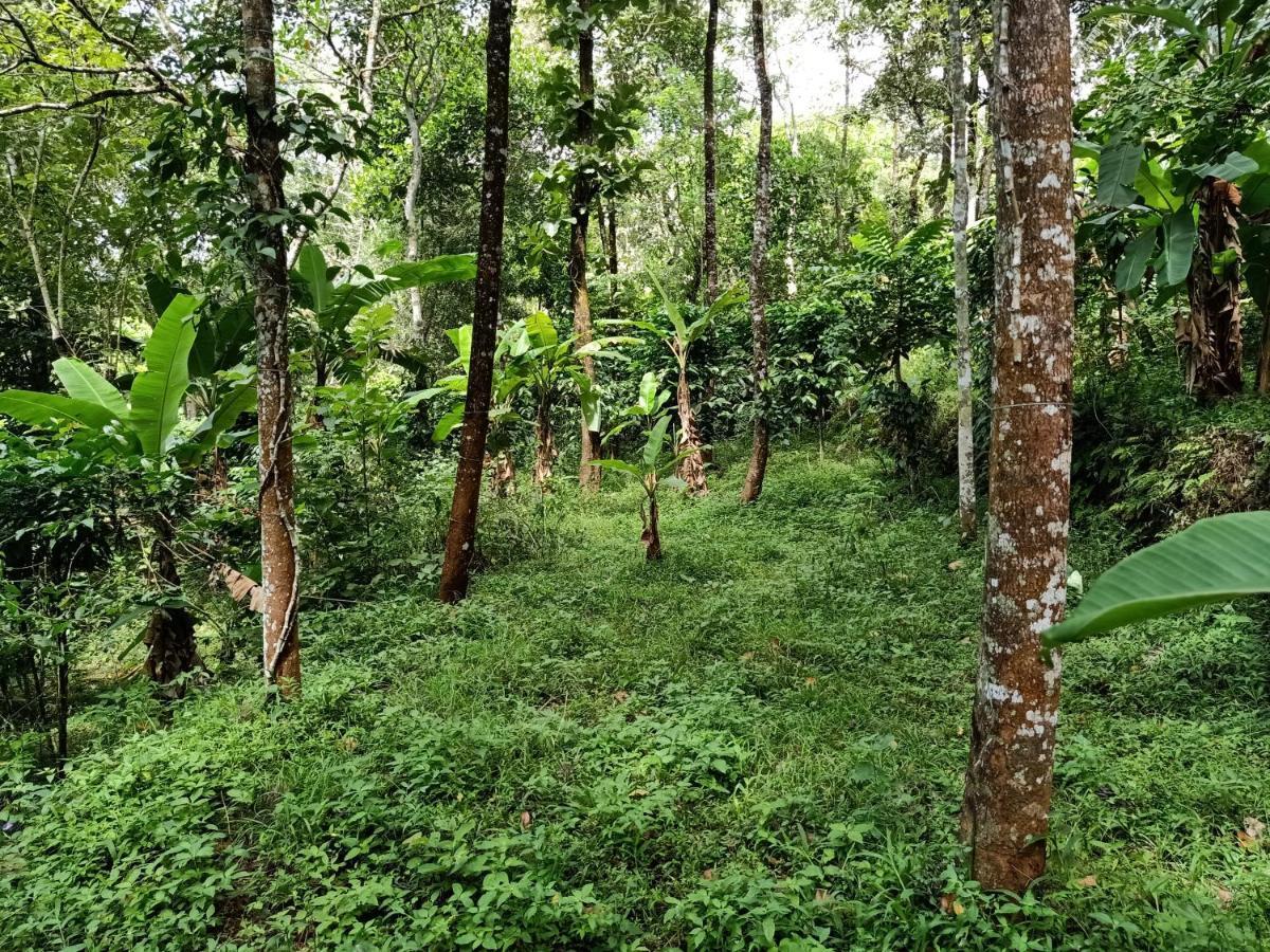 Philip Mary Farm Stay Thekkady Bagian luar foto